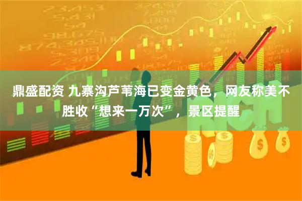 鼎盛配资 九寨沟芦苇海已变金黄色，网友称美不胜收“想来一万次”，景区提醒