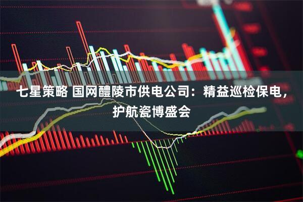 七星策略 国网醴陵市供电公司：精益巡检保电，护航瓷博盛会