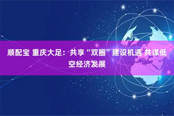 顺配宝 重庆大足：共享“双圈”建设机遇 共谋低空经济发展