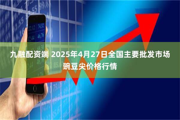 九融配资端 2025年4月27日全国主要批发市场豌豆尖价格行情