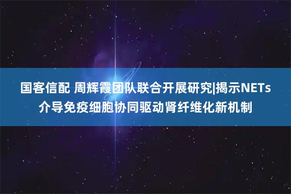 国客信配 周辉霞团队联合开展研究|揭示NETs介导免疫细胞协同驱动肾纤维化新机制