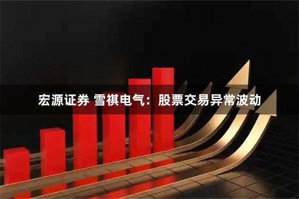 宏源证券 雪祺电气：股票交易异常波动