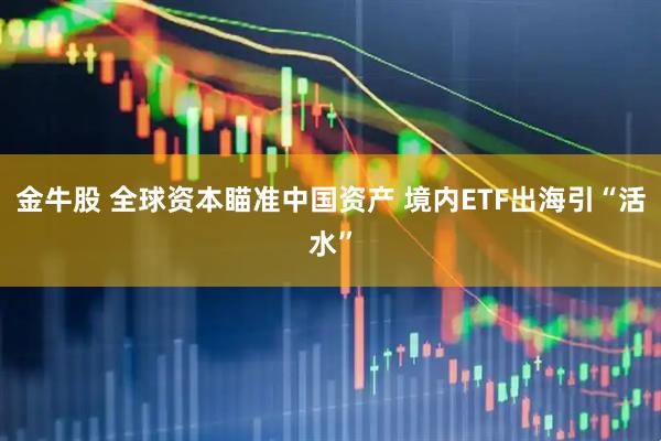 金牛股 全球资本瞄准中国资产 境内ETF出海引“活水”